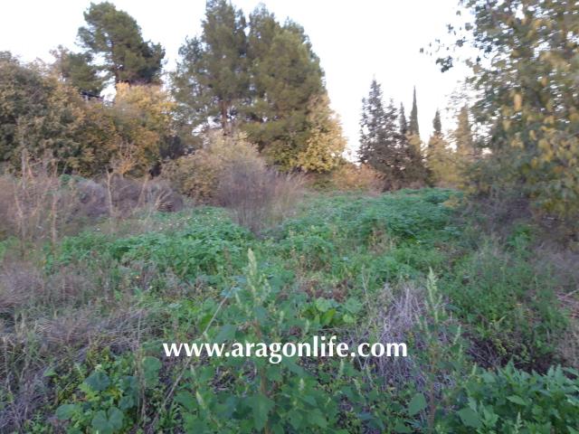 Finca en venta en Bajo Aragón-Caspe / Baix Aragó-Casp, Aragón