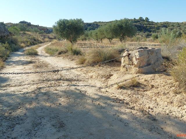 Finca en venta en Bajo Aragón-Caspe / Baix Aragó-Casp, Aragón