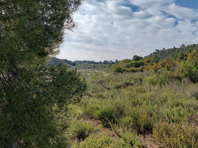Finca en venta en Bajo Aragón-Caspe / Baix Aragó-Casp, Aragón