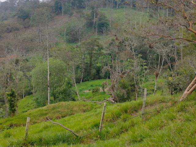 Finca en venta en Chinácota, Norte De Santander
