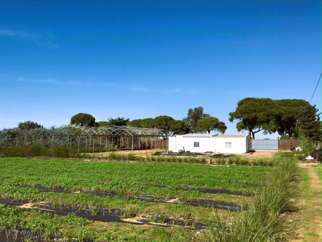 Finca en venta en Chipiona