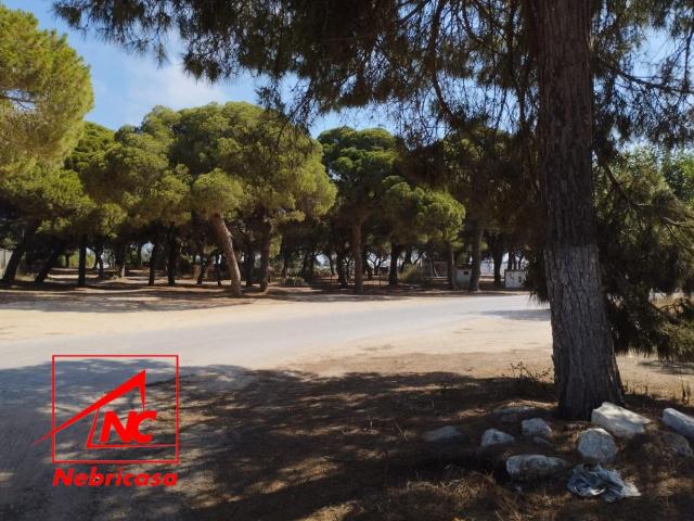 Finca en venta en Chipiona