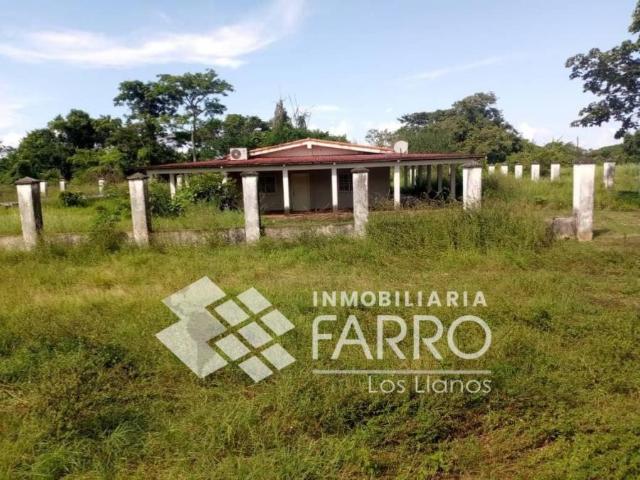 Terreno en venta en Cojedes