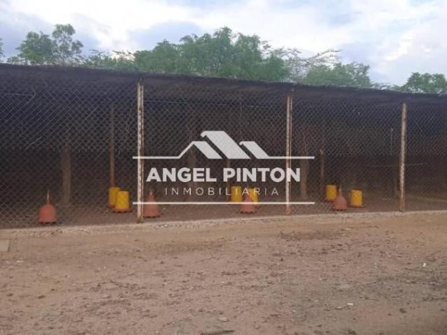 Terreno en venta en Ciudad Ojeda, Zulia