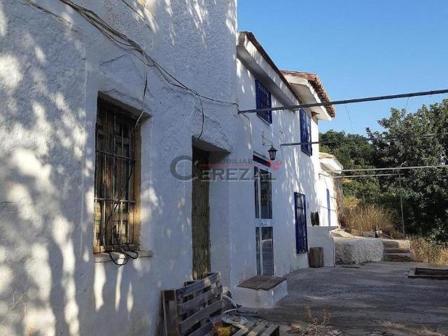 Finca en venta en Comares, Las Encinillas