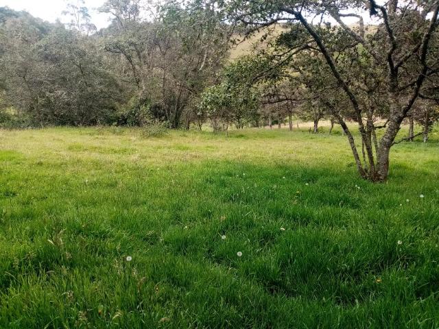 Finca en venta en Boyacá, Toca