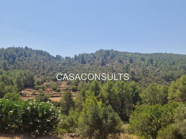Finca en venta en l'Alcalatén, Valencia