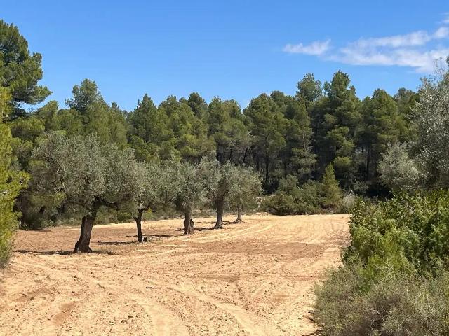 Finca en venta en Matarraña / Matarranya, Cretas