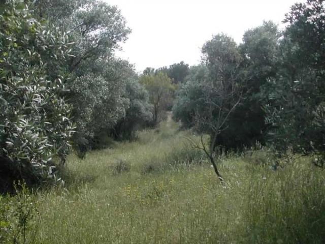 Finca en venta en Matarraña / Matarranya, Cretas