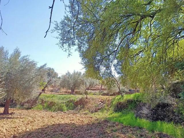Finca en venta en Matarraña / Matarranya, Cretas