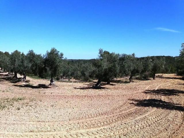 Finca en venta en Matarraña / Matarranya, Cretas