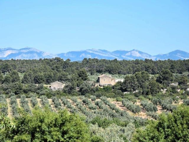 Finca en venta en Cretas