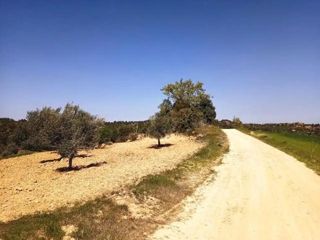 Finca en venta en Matarraña / Matarranya, Cretas