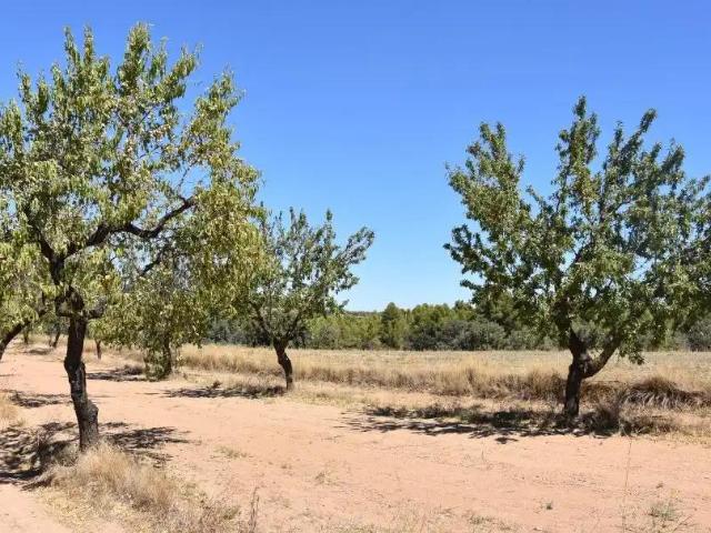 Finca en venta en Matarraña / Matarranya, Cretas