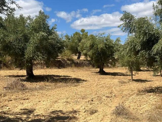 Finca en venta en Matarraña / Matarranya, Cretas