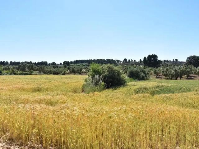 Finca en venta en Matarraña / Matarranya, Cretas