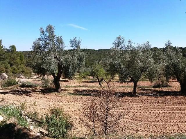 Finca en venta en Matarraña / Matarranya, Cretas
