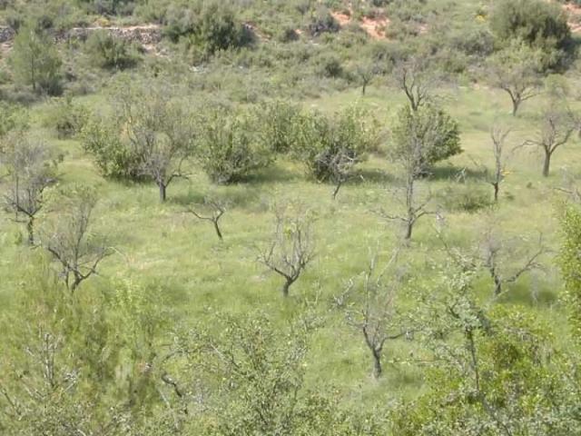 Finca en venta en Matarraña / Matarranya, Cretas