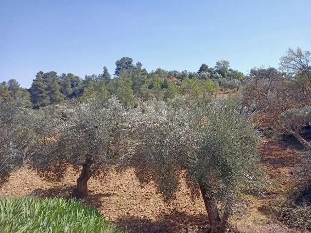 Finca en venta en Matarraña / Matarranya, Cretas