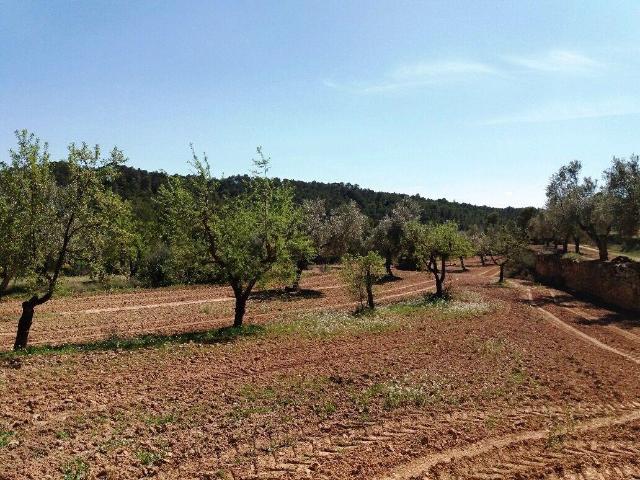 Finca en venta en Cretas, Teruel