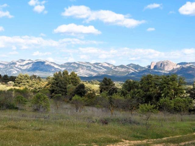 Finca en venta en Cretas, Teruel