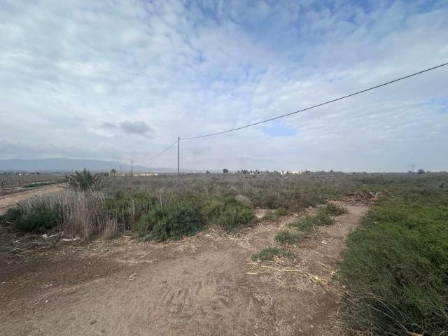 Finca en venta en el Realengo, Crevillent
