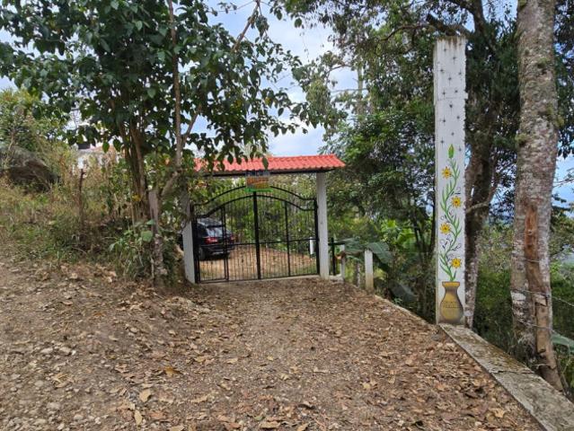 Finca en venta en El Triunfo, El Colegio