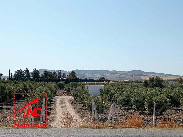 Finca en venta en El Cuervo De Sevilla