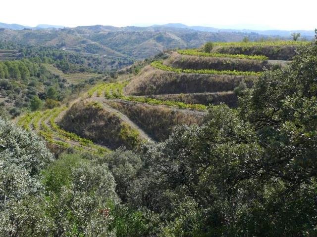 Finca en venta en Priorat, Catalunya
