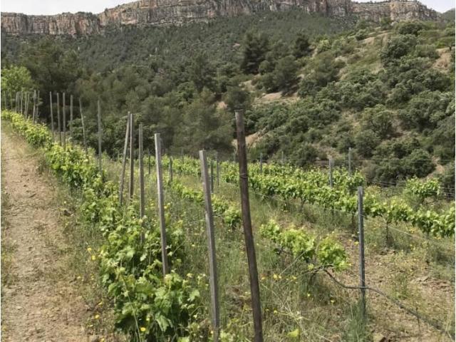 Finca en venta en Priorat, Catalunya