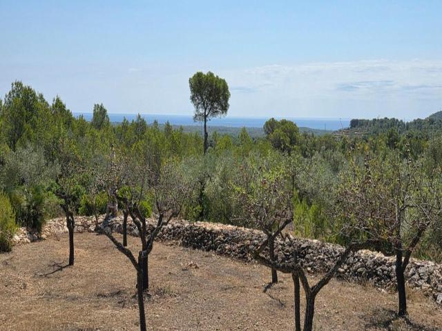 Finca en venta en Baix Ebre, Catalunya