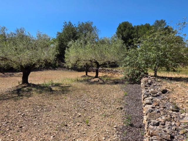 Finca en venta en El Perelló