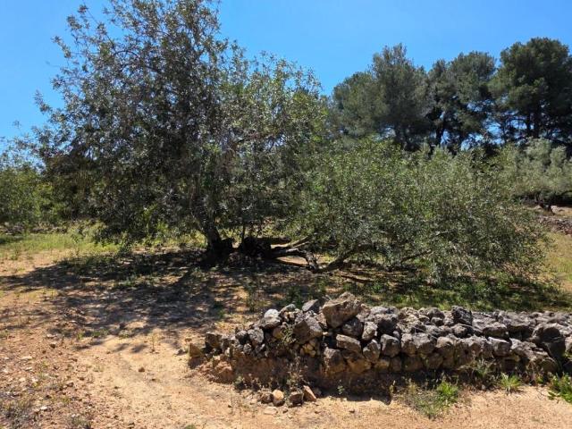 Finca en venta en Baix Ebre, Catalunya