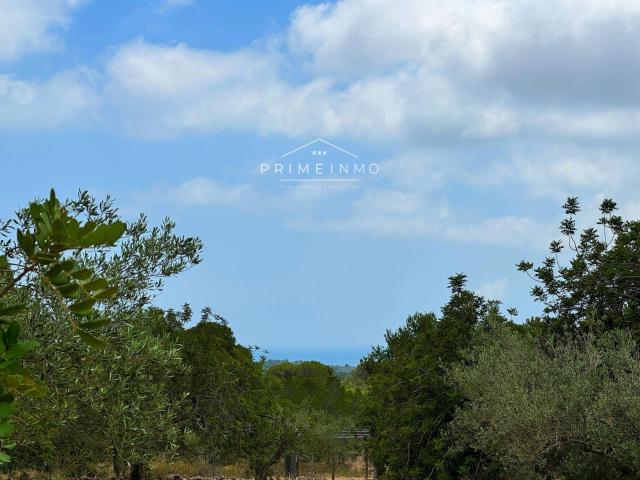 Finca en venta en El Perelló