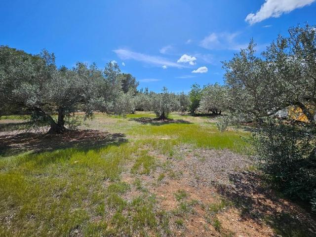 Finca en venta en El Perelló