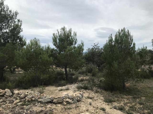 Finca en venta en El Perelló, Tarragona