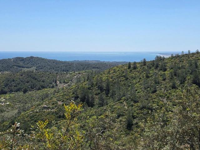 Finca en venta en El Perelló