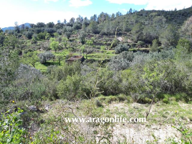 Finca en venta en El Pinell De Brai Finca en venta en El Pinell De Brai