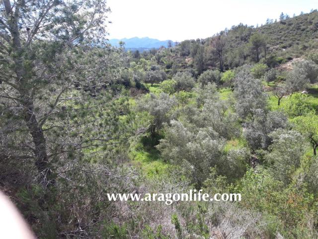 Finca en venta en Terra Alta, Catalunya