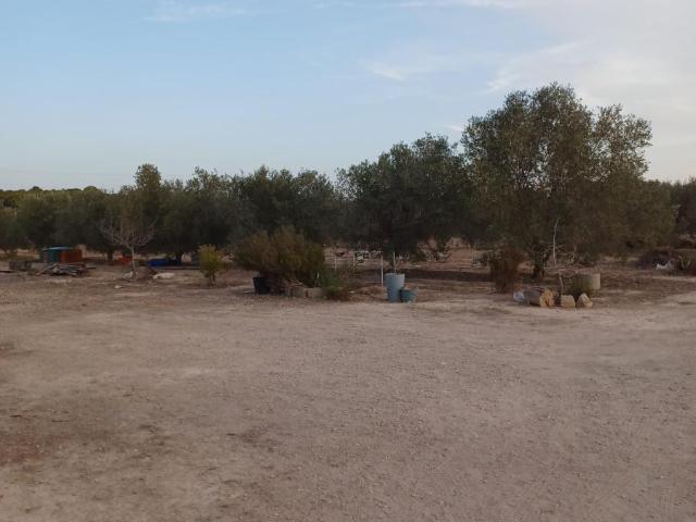 Finca en venta en el Baix Vinalopó, Valencia