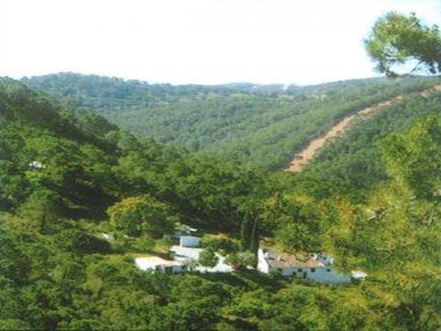 Local Comercial en alquiler en Estepona, Málaga