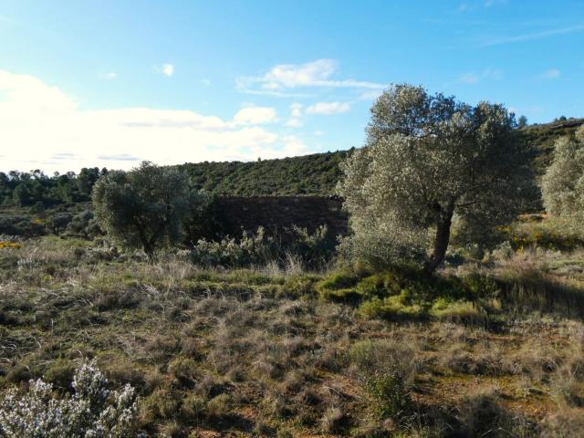 Finca en venta en Bajo Aragón-Caspe / Baix Aragó-Casp, Aragón