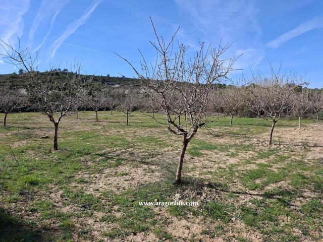 Finca en venta en Bajo Aragón-Caspe / Baix Aragó-Casp, Aragón
