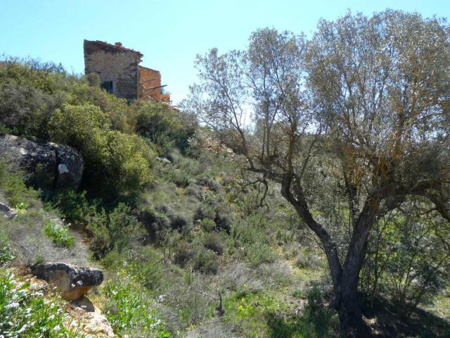 Finca en venta en Bajo Aragón-Caspe / Baix Aragó-Casp, Aragón