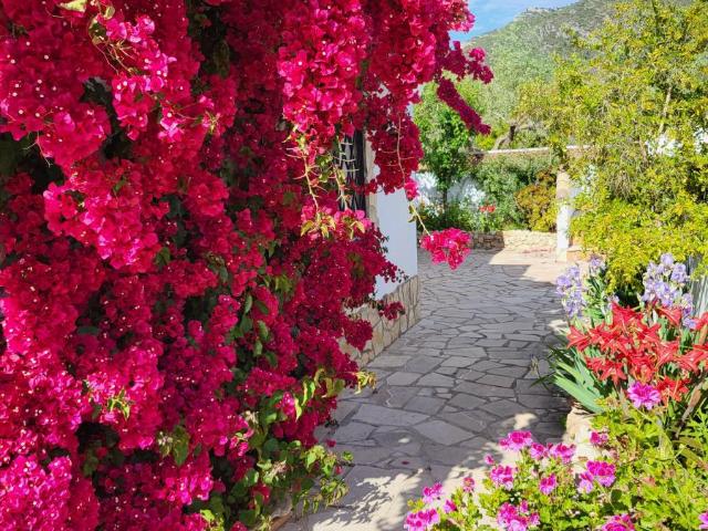 Finca en venta en Montsià, Catalunya