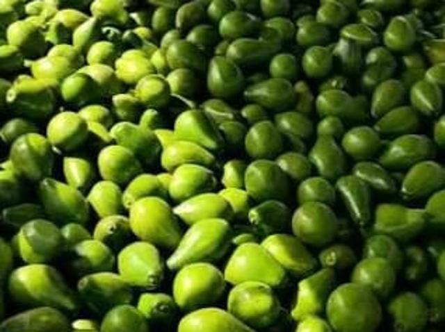 Finca en venta en Sor Julia, Fresno