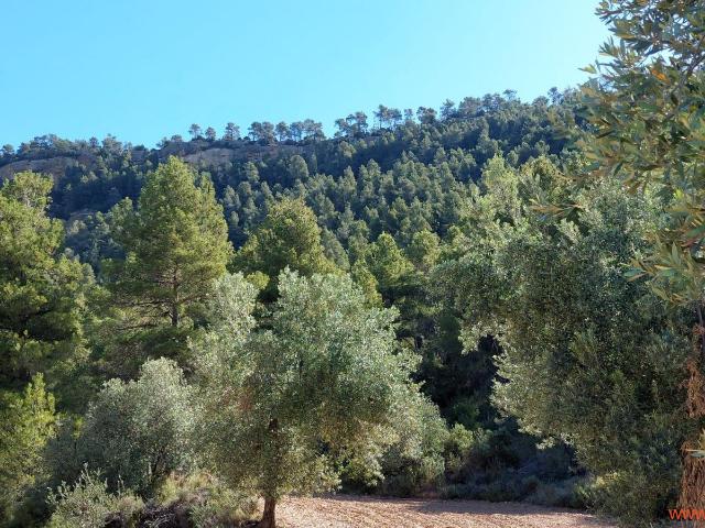 Finca en venta en Matarraña / Matarranya, Fuentespalda