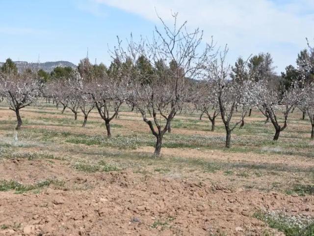 Finca en venta en Matarraña / Matarranya, Fuentespalda