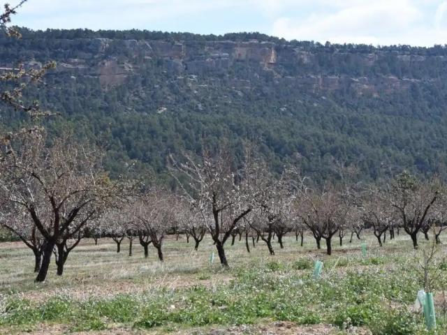 Finca en venta en Matarraña / Matarranya, Fuentespalda