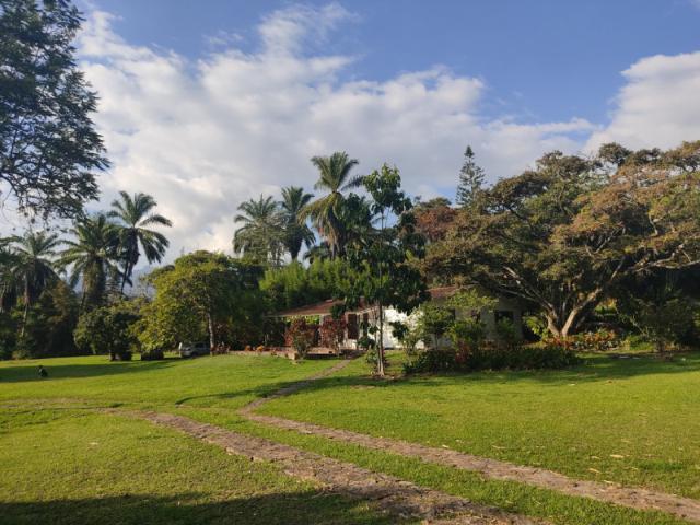 Finca En Venta En Fusagasuga En Fusagasuga V358366